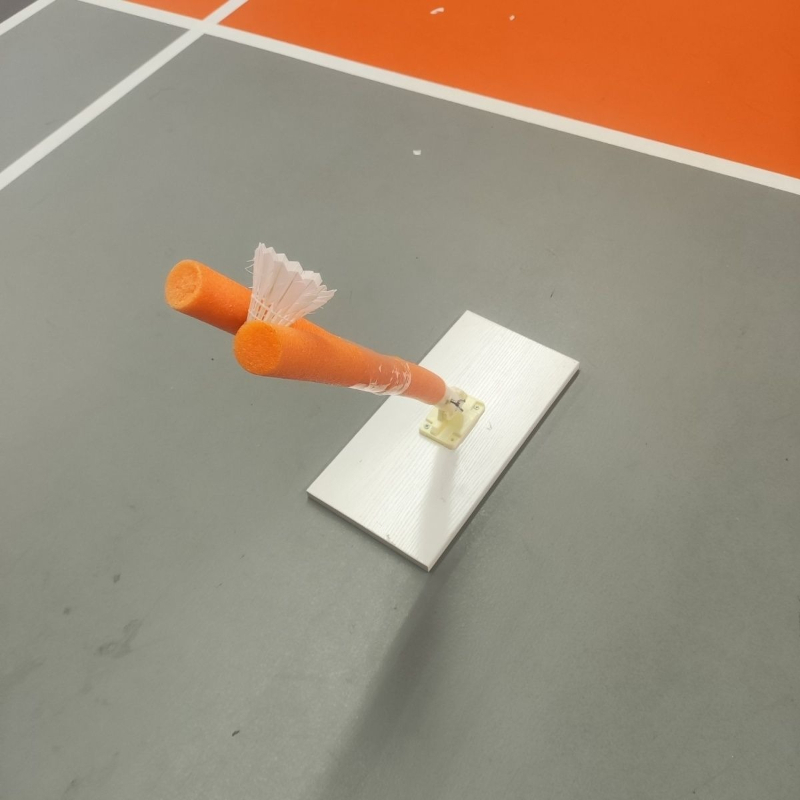 Children Badminton Pick Serve  - Sports Equipment For Badminton review and price