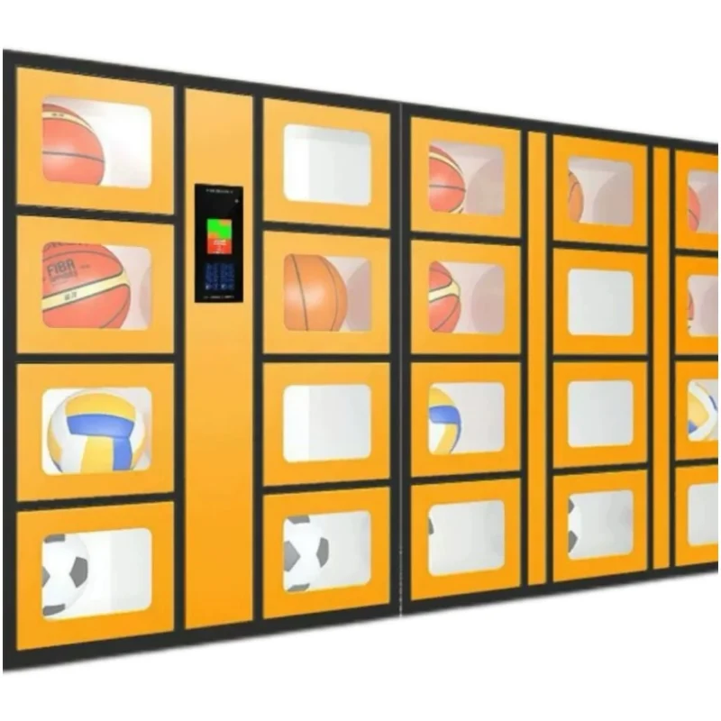24-hour Smart Sports Equipment - Sports Equipment Locker review and price