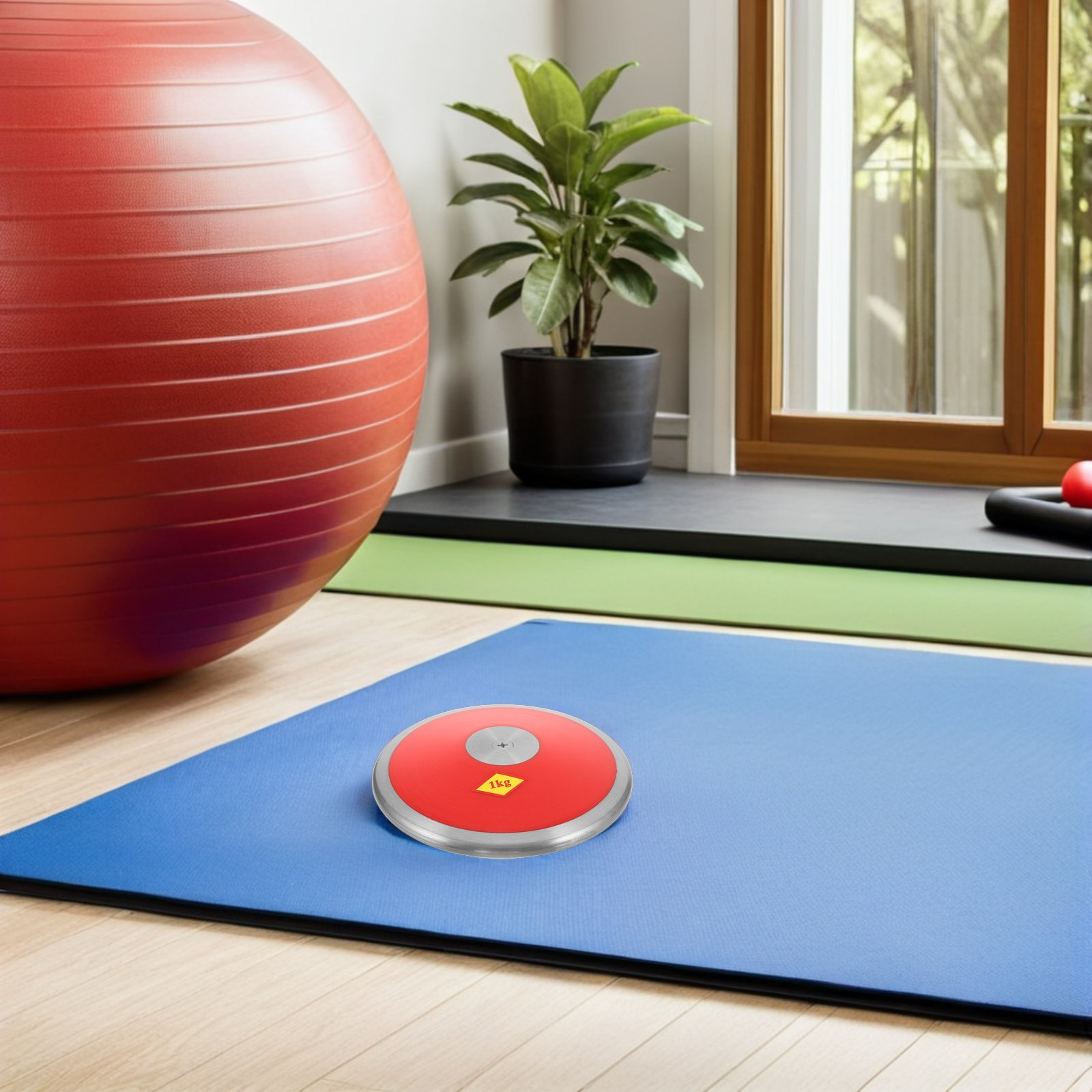 1Kg Nylon Discus Professional  - Sports Equipment Training review and price